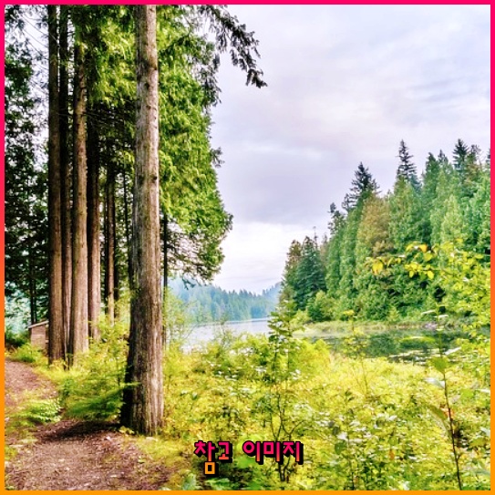 덕수궁 야간 개장: 소박한 아름다움으로의 초대