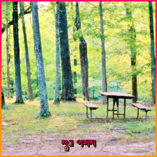 꿈을 그리다: 소외계층 학생에게 더 나은 진로를 선사하는 첫 걸음