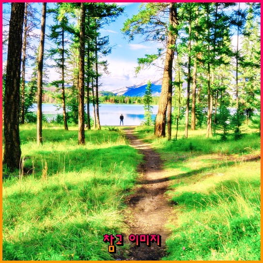 법률 자문을 받기 전, 꼭 알아야 하는 필수 정보들