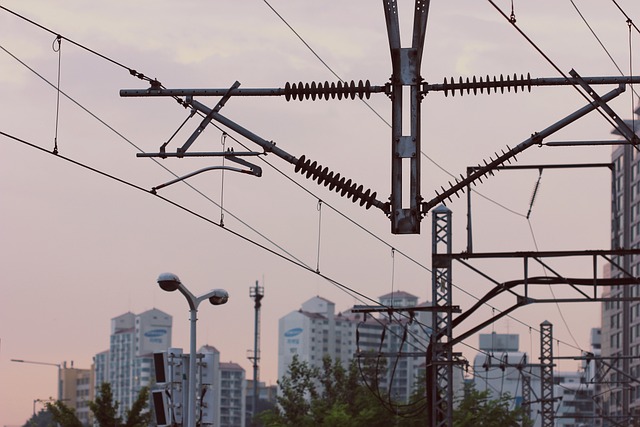 다낭성 난소 증후군: 당신의 생리적 평화를 위한 초석
