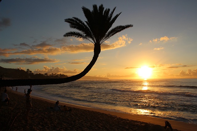 건강보험료 직장가입자 감면 신청, 이제 복잡하지 않아요!