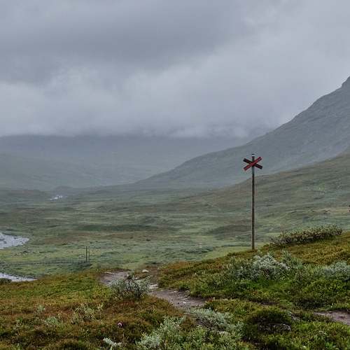 2025년 공익직불금, 꼭 신청해야 할 이유와 지원 대상 안내