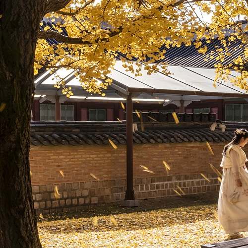 제미나이 AI: 인공지능의 새로운 경지를 여는 혁신적 모델