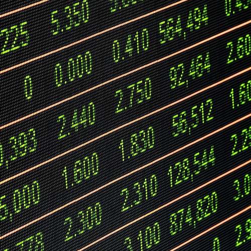 벵갈 고무나무를 다이소 영양제로 살려보세요! 집에서 쉽게 성장시키는 팁