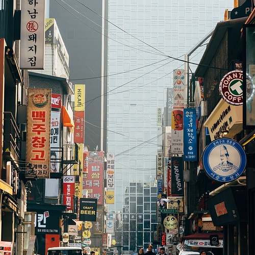 야구팬을 위한 완벽 가이드: 2025 기아 타이거즈 예매 정보 총정리