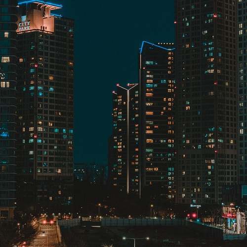 강아지 건강을 위한 유산소 운동, 최적의 관리 방법을 알아보아요!