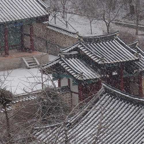 세종시 민생회복지원금 25만원, 나도 받을 수 있을까? 신청 방법 및 사용처 총정리