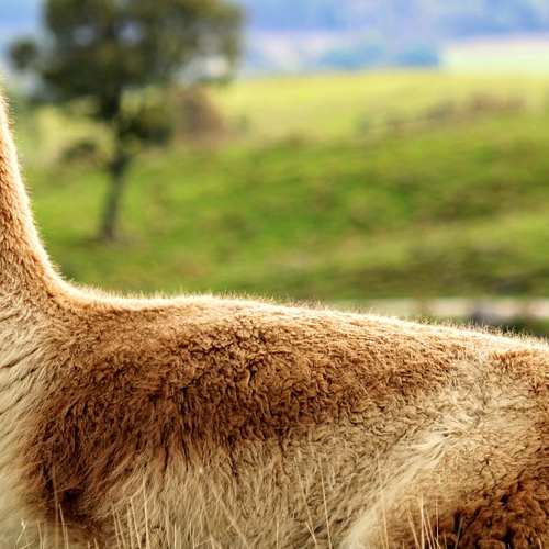 전국민 25만원 소비쿠폰, 언제 어떻게 받을 수 있을까?