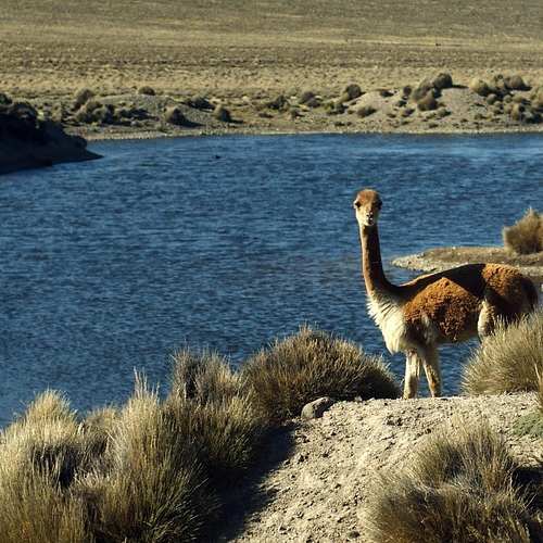 민생회복 소비쿠폰, 25만원 vs 50만원, 당신은 얼마를 받을 수 있을까요?