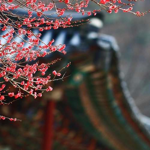 무료로 즐기는 심리테스트, 나의 유형을 알아보세요!