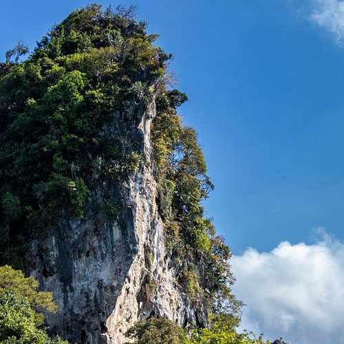 위택스 자동차세: 온라인으로 간편하게 납부하는 방법 알아보기