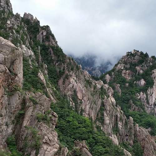 월악산 닷돈재 야영장: 캠핑의 완벽한 즐거움