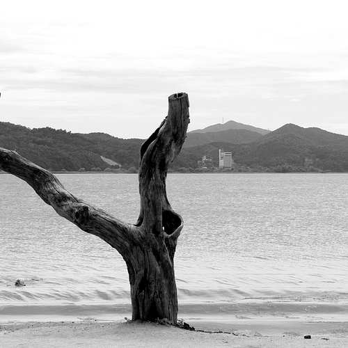 경기도 화성여행: 용주사에서 느끼는 효의 깊은 의미