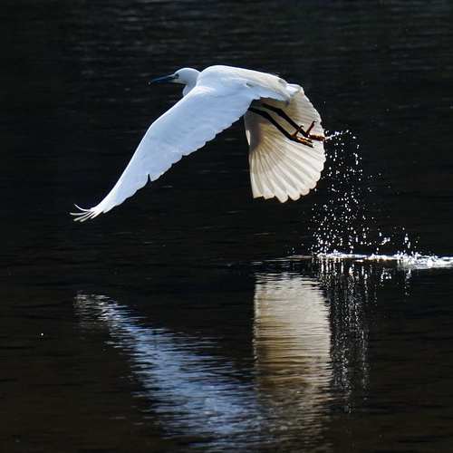 기초생활수급자, 내가 누릴 수 있는 혜택과 신청 방법을 알아보아요