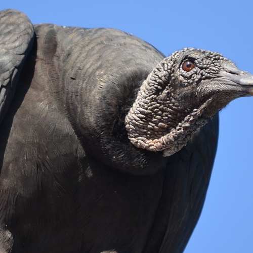 재건축 양도세 계산: 똑똑하게 세금을 줄이는 방법!