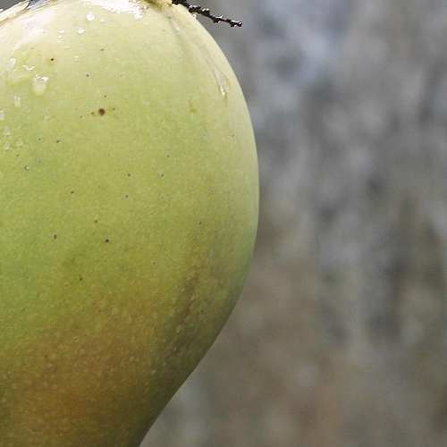 쿠팡 환불 정책을 제대로 알면 걱정 없어요! 신청 방법과 처리 일정을 한눈에 알아보세요