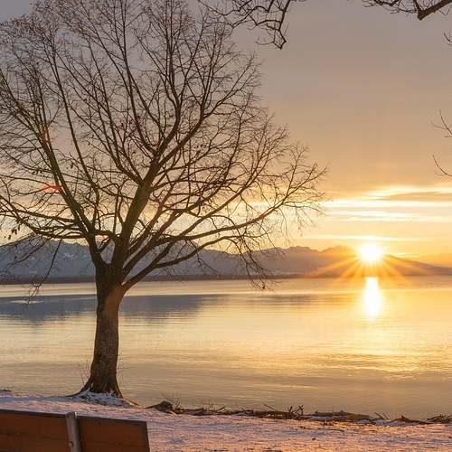 농협은행 통장사본, 간편하게 인터넷과 모바일로 출력해보세요!