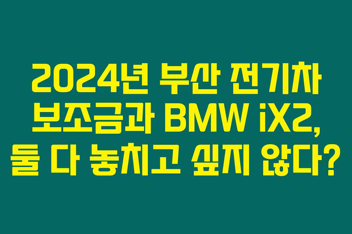2024년 부산 전기차 보조금과 BMW iX2, 둘 다 놓치고 싶지 않다?
