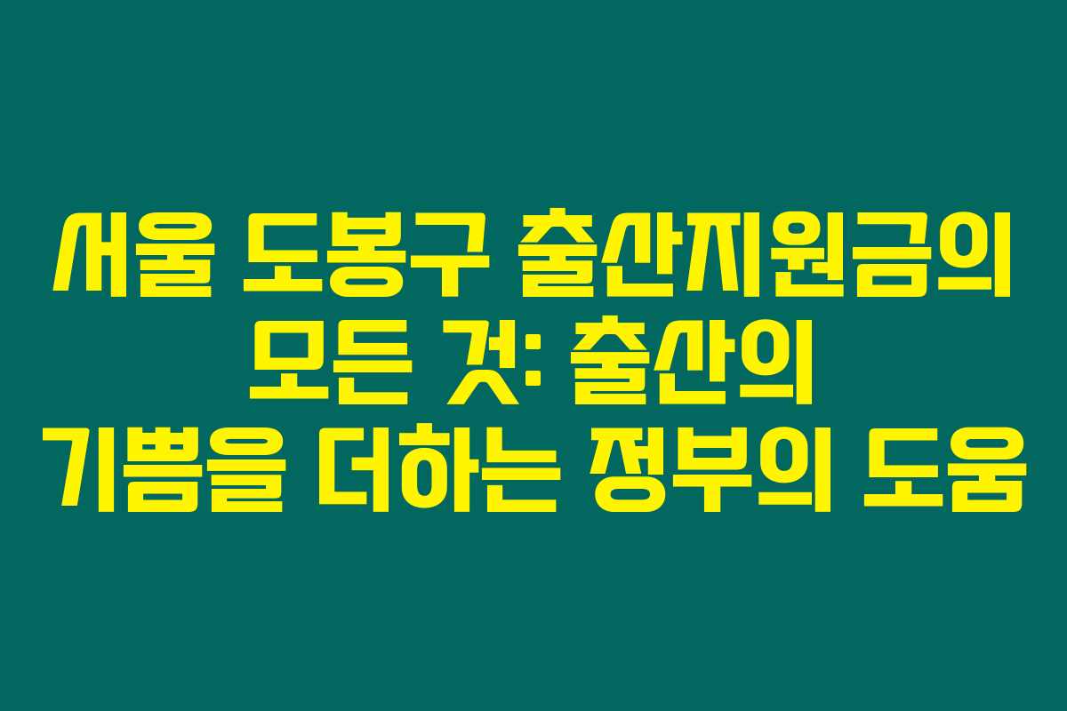 서울 도봉구 출산지원금의 모든 것: 출산의 기쁨을 더하는 정부의 도움