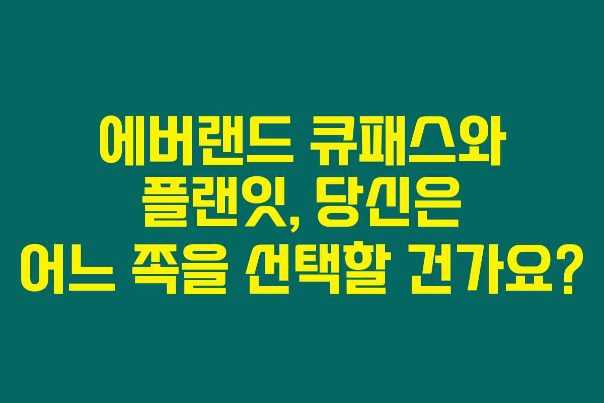에버랜드 큐패스와 플랜잇, 당신은 어느 쪽을 선택할 건가요?