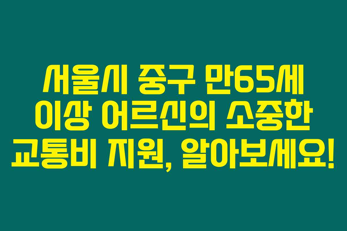 서울시 중구 만65세 이상 어르신의 소중한 교통비 지원, 알아보세요!
