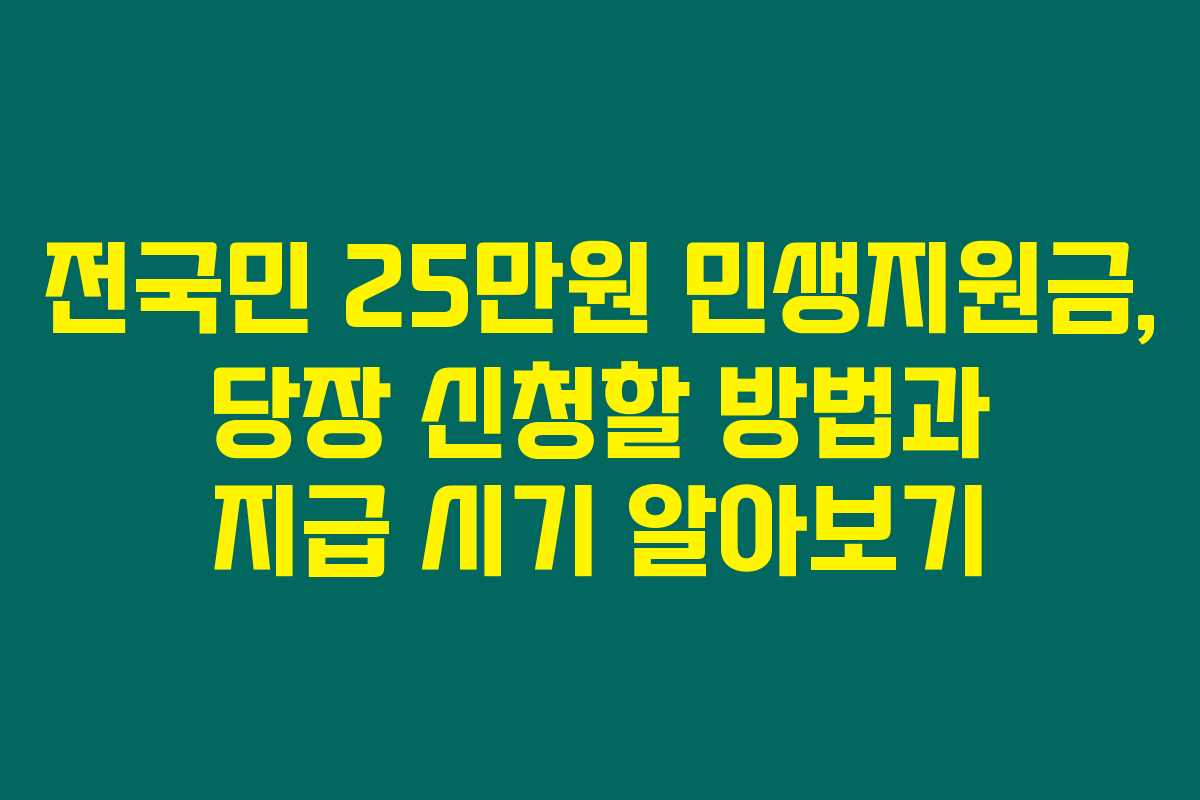 전국민 25만원 민생지원금, 당장 신청할 방법과 지급 시기 알아보기