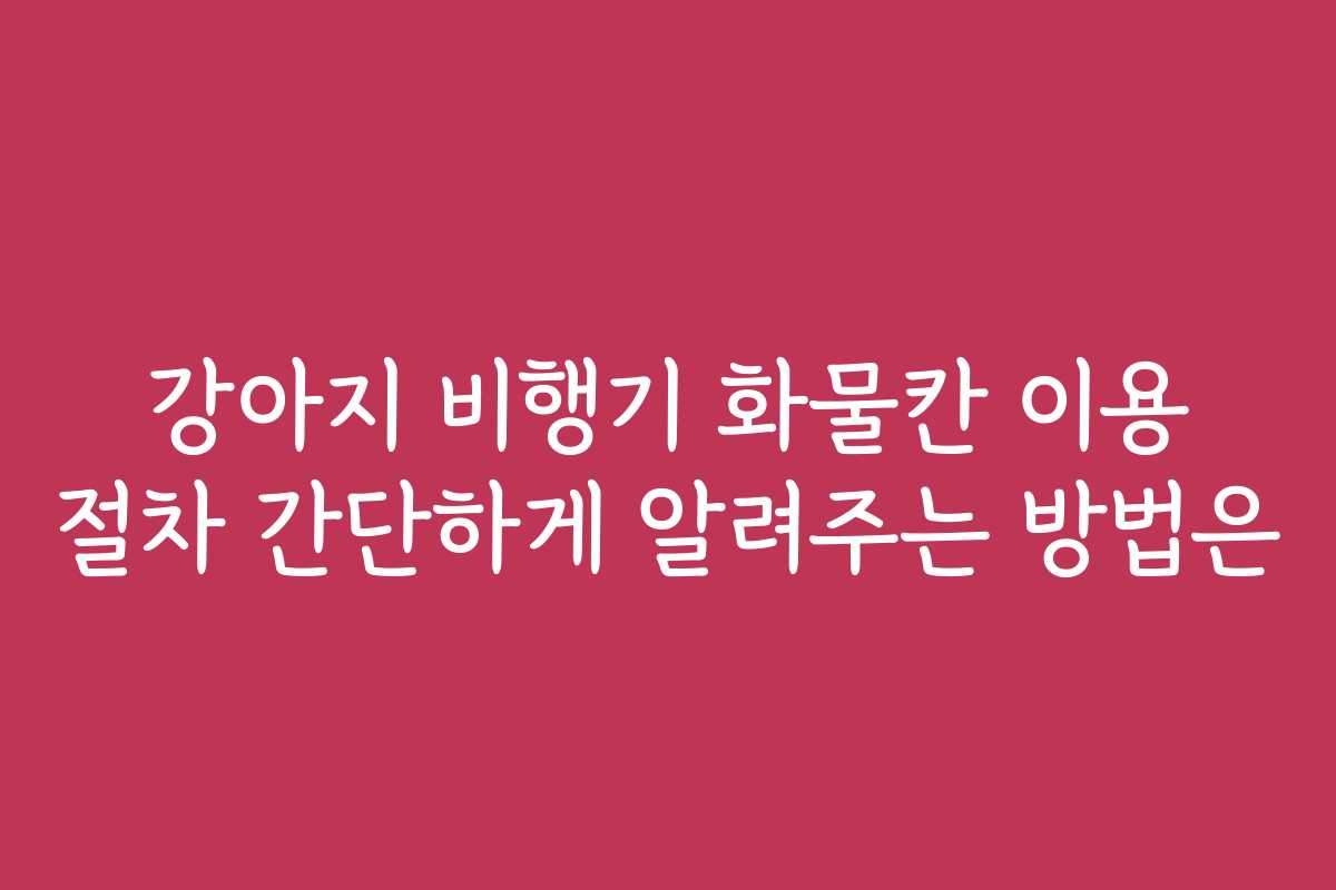 강아지 비행기 화물칸 이용 절차 간단하게 알려주는 방법은