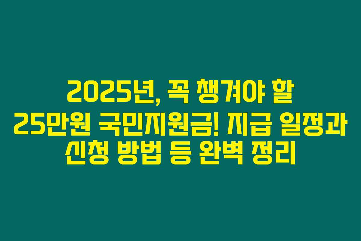 2025년, 꼭 챙겨야 할 25만원 국민지원금! 지급 일정과 신청 방법 등 완벽 정리