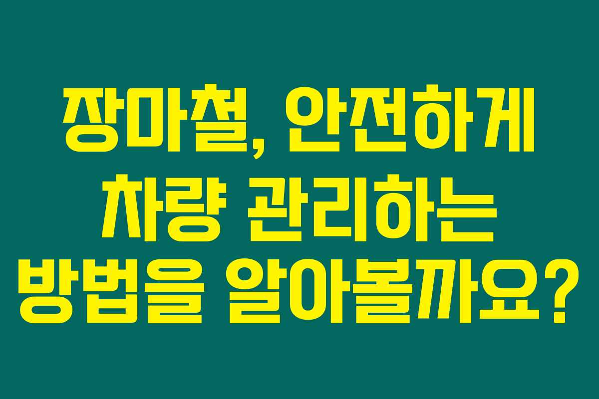 장마철, 안전하게 차량 관리하는 방법을 알아볼까요?