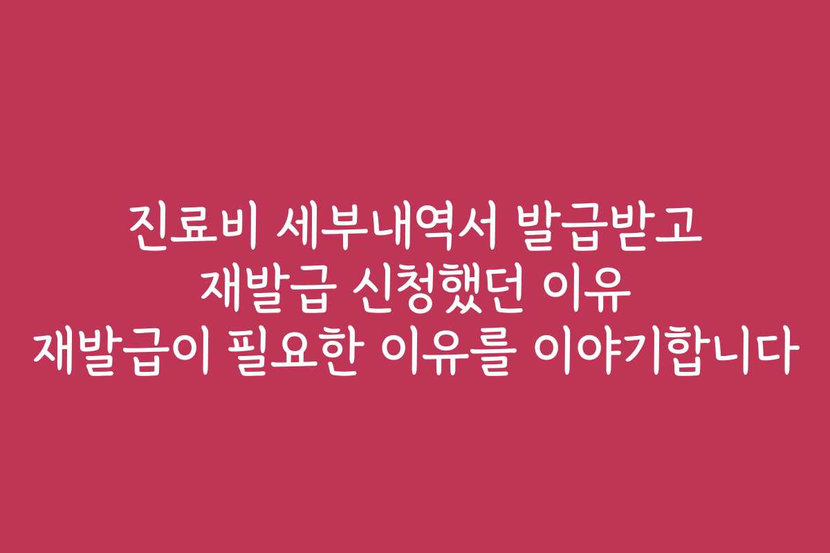 진료비 세부내역서 발급받고 재발급 신청했던 이유 재발급이 필요한 이유를 이야기합니다