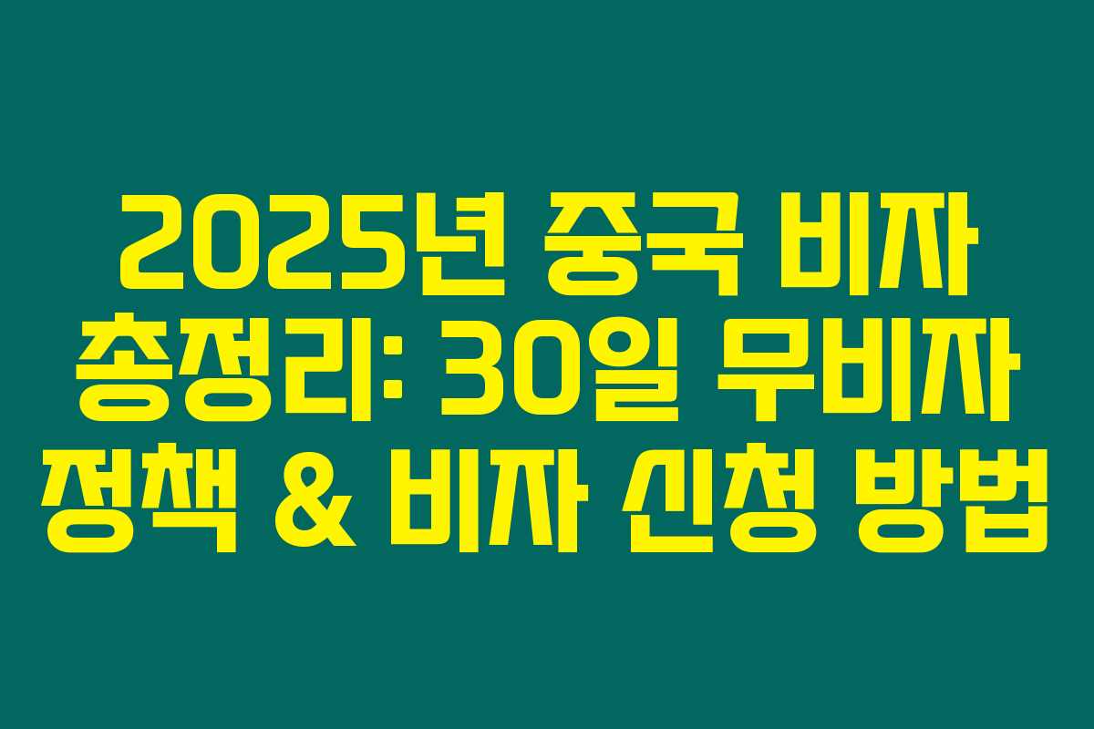 2025년 중국 비자 총정리: 30일 무비자 정책 & 비자 신청 방법
