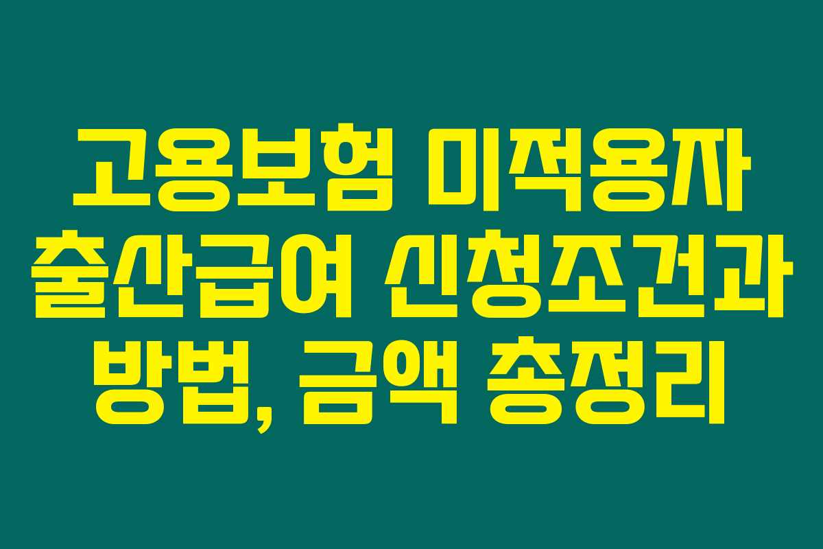 고용보험 미적용자 출산급여 신청조건과 방법, 금액 총정리