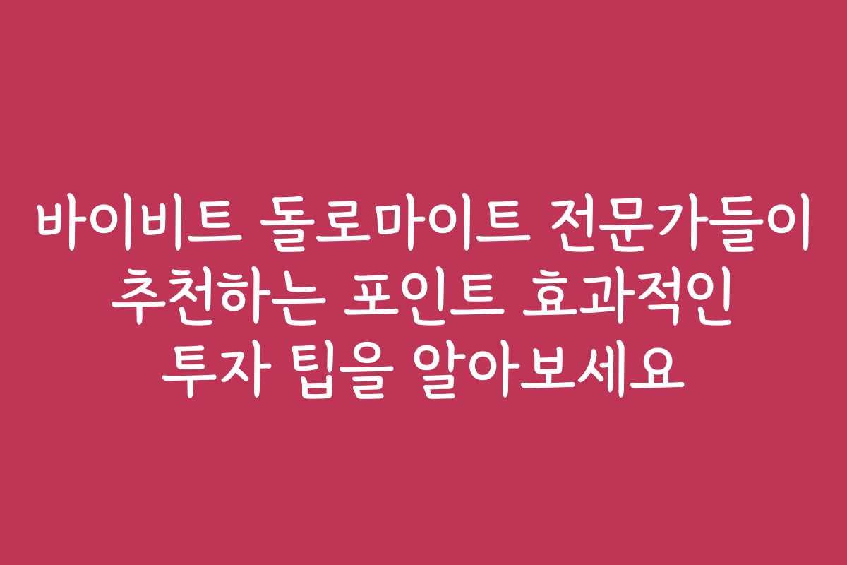 바이비트 돌로마이트 전문가들이 추천하는 포인트 효과적인 투자 팁을 알아보세요