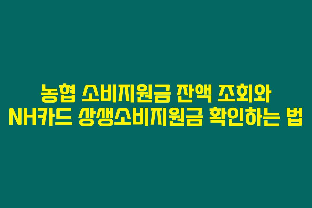 농협 소비지원금 잔액 조회와 NH카드 상생소비지원금 확인하는 법