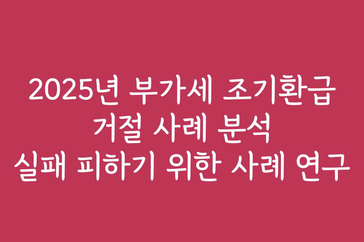 2025년 부가세 조기환급 거절 사례 분석 실패 피하기 위한 사례 연구