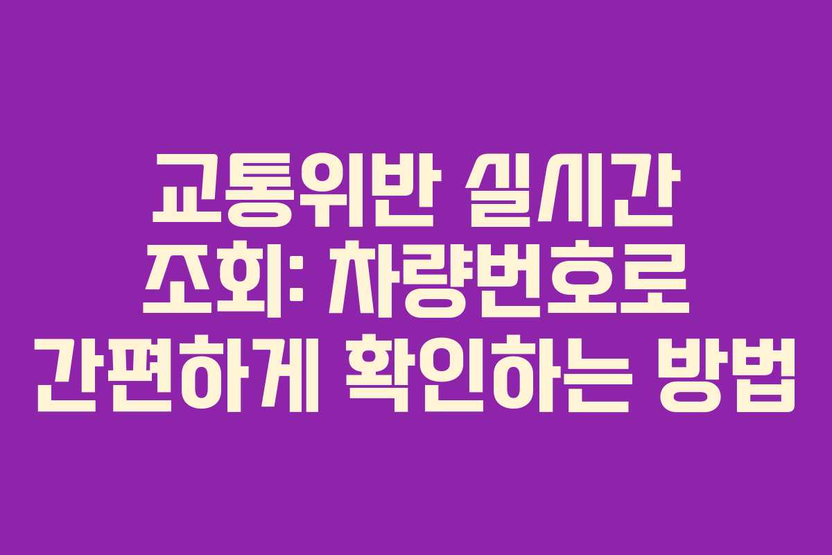 교통위반 실시간 조회: 차량번호로 간편하게 확인하는 방법
