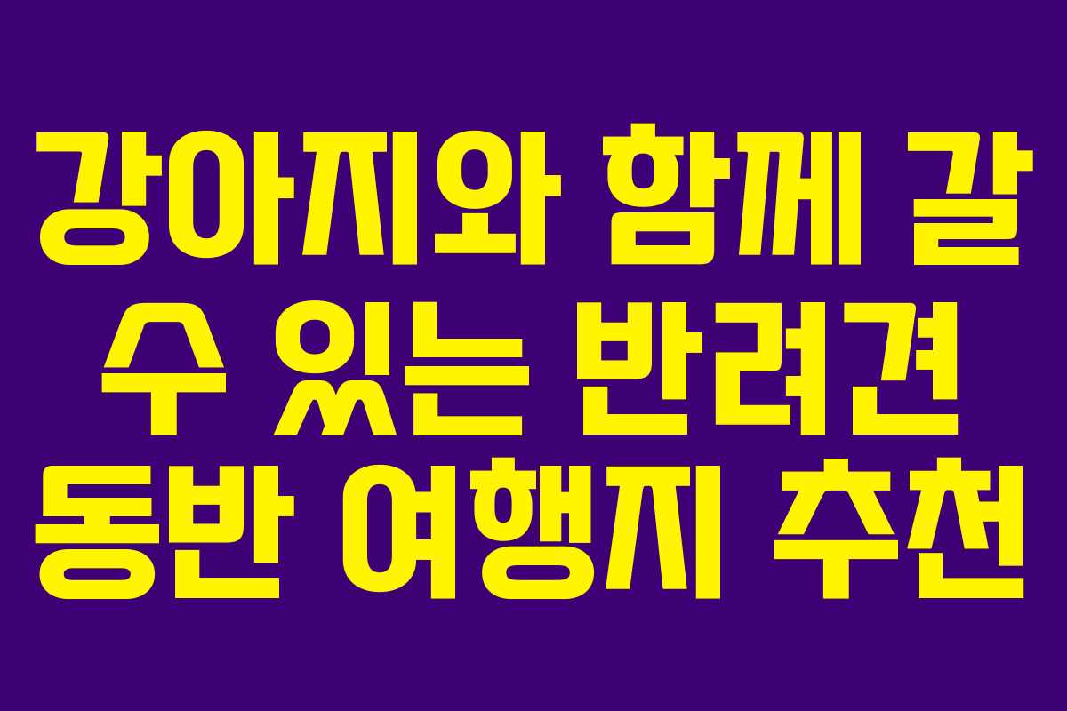 강아지와 함께 갈 수 있는 반려견 동반 여행지 추천