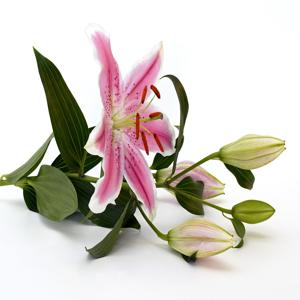 퇴행성 관절염 운동요법