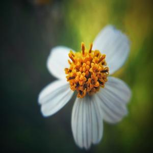 위암 초기증상 자가진단 직접 확인해볼 수 있는 초기증상