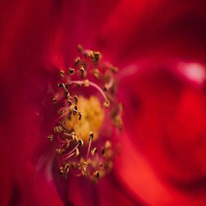 퇴행성관절염 증상