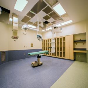 이명 난청 치료 이명과 난청을 동시에 치료하는 방법