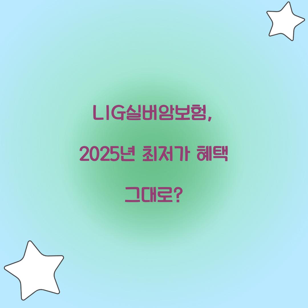 LIG실버암보험, 2025년 최저가 혜택 그대로?