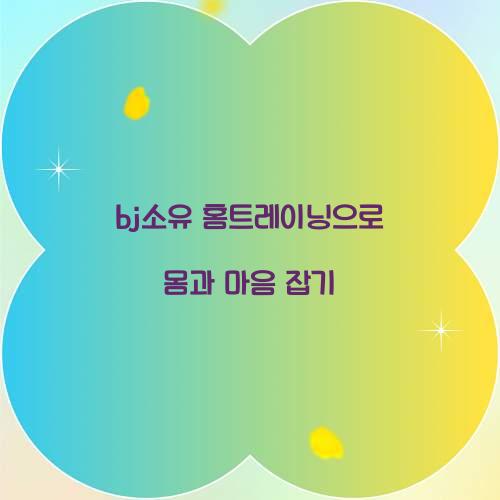 bj소유 홈트레이닝으로 몸과 마음 잡기