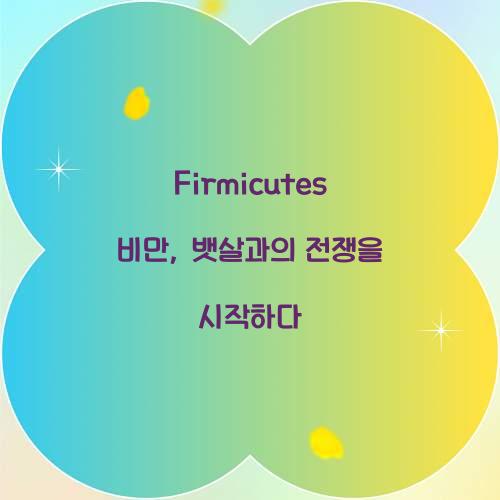 Firmicutes 비만, 뱃살과의 전쟁을 시작하다