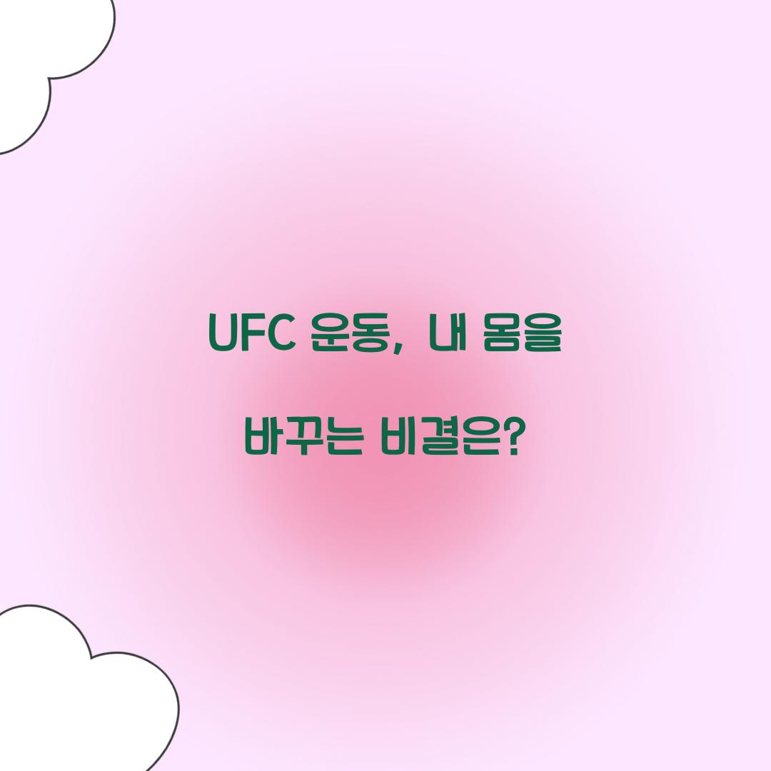 UFC 운동, 내 몸을 바꾸는 비결은?