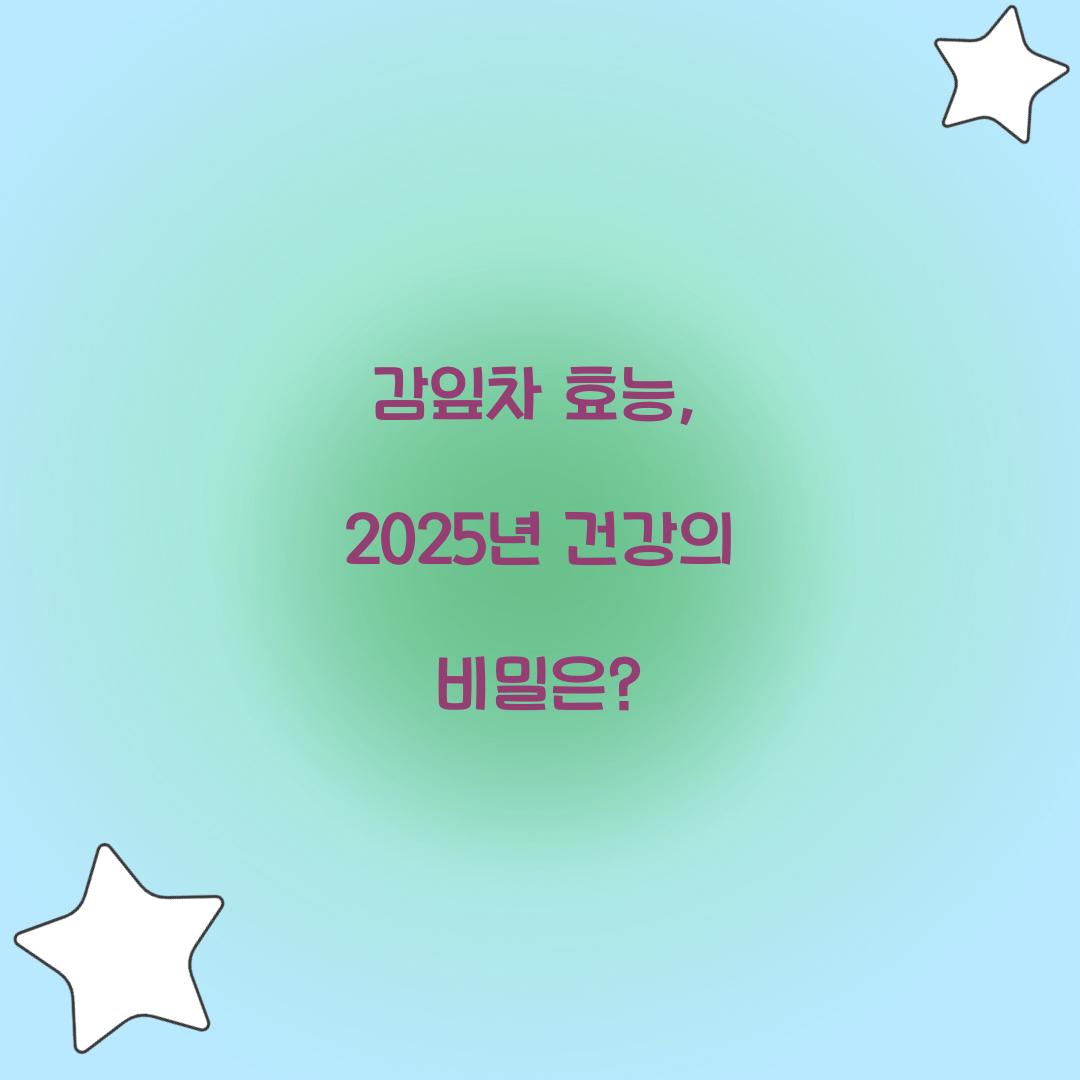 감잎차 효능, 2025년 건강의 비밀은?