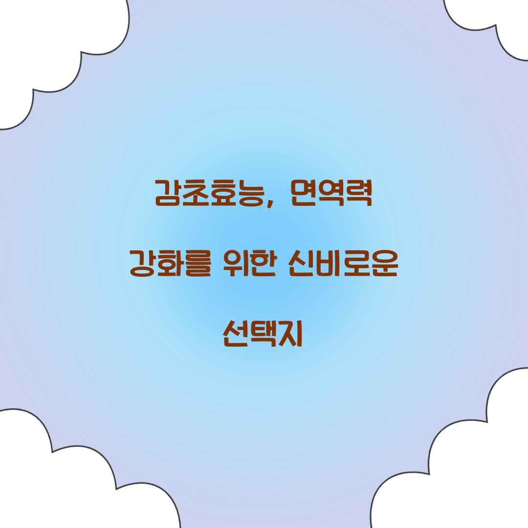 감초효능, 면역력 강화를 위한 신비로운 선택지