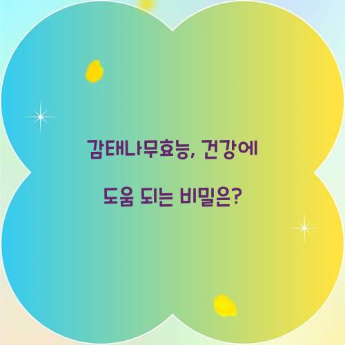 감태나무효능, 건강에 도움 되는 비밀은?