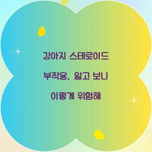 강아지 스테로이드 부작용, 알고 보니 이렇게 위험해