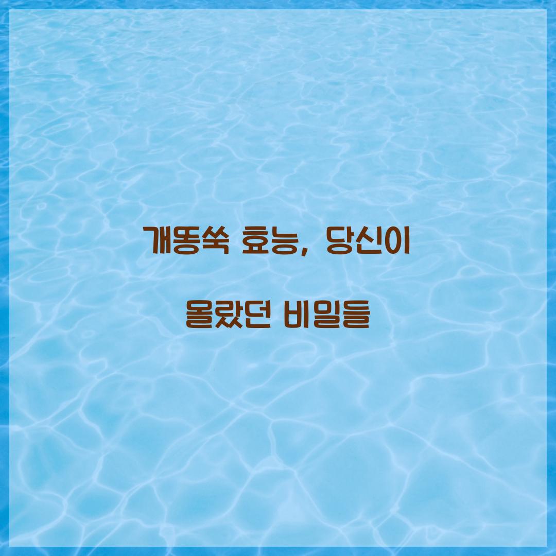 개똥쑥 효능, 당신이 몰랐던 비밀들